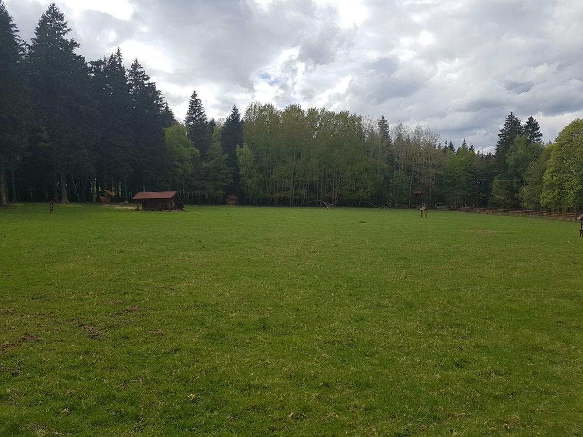 Pension Villa Berolina Mariánské Lázně Εξωτερικό φωτογραφία